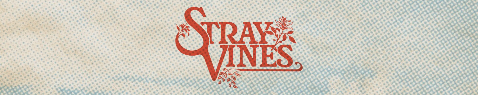 Stray Vines Chicago Rock Americana Grunge Band